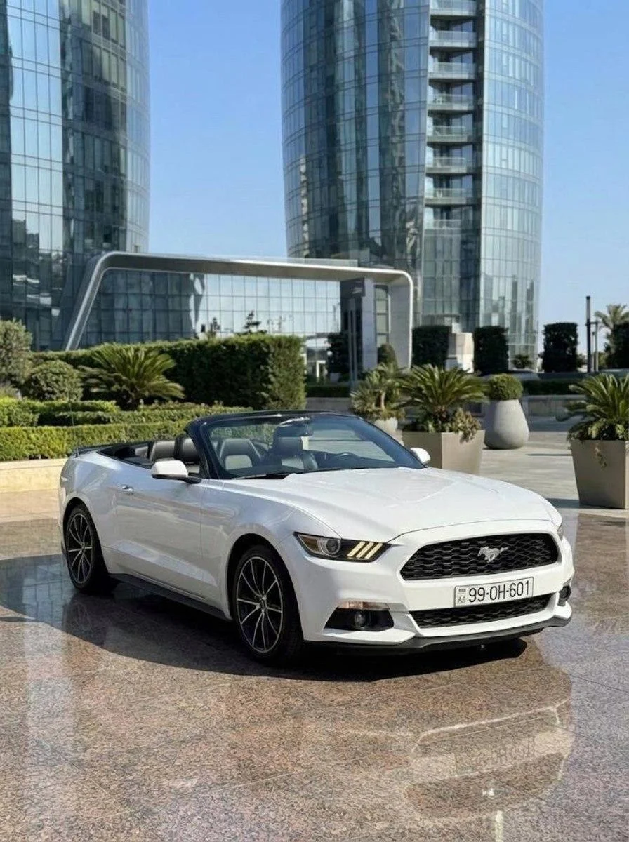 Ford Mustang, 2018 il icarəsi
